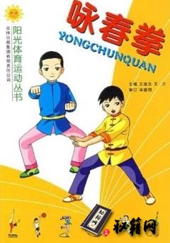 [武功秘籍]咏春拳（王连生）.pdf