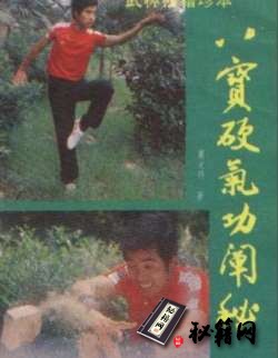 [武功秘籍]八宝硬气功阐秘.pdf