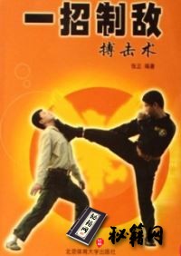 [武功秘籍][一招制敌搏击术].张正.扫描版.pdf